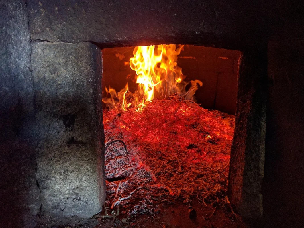 Apakah Lantai Parket Kayu Tahan Rayap? Simak Faktanya 2026 3 Wood Processing Kiln Dry