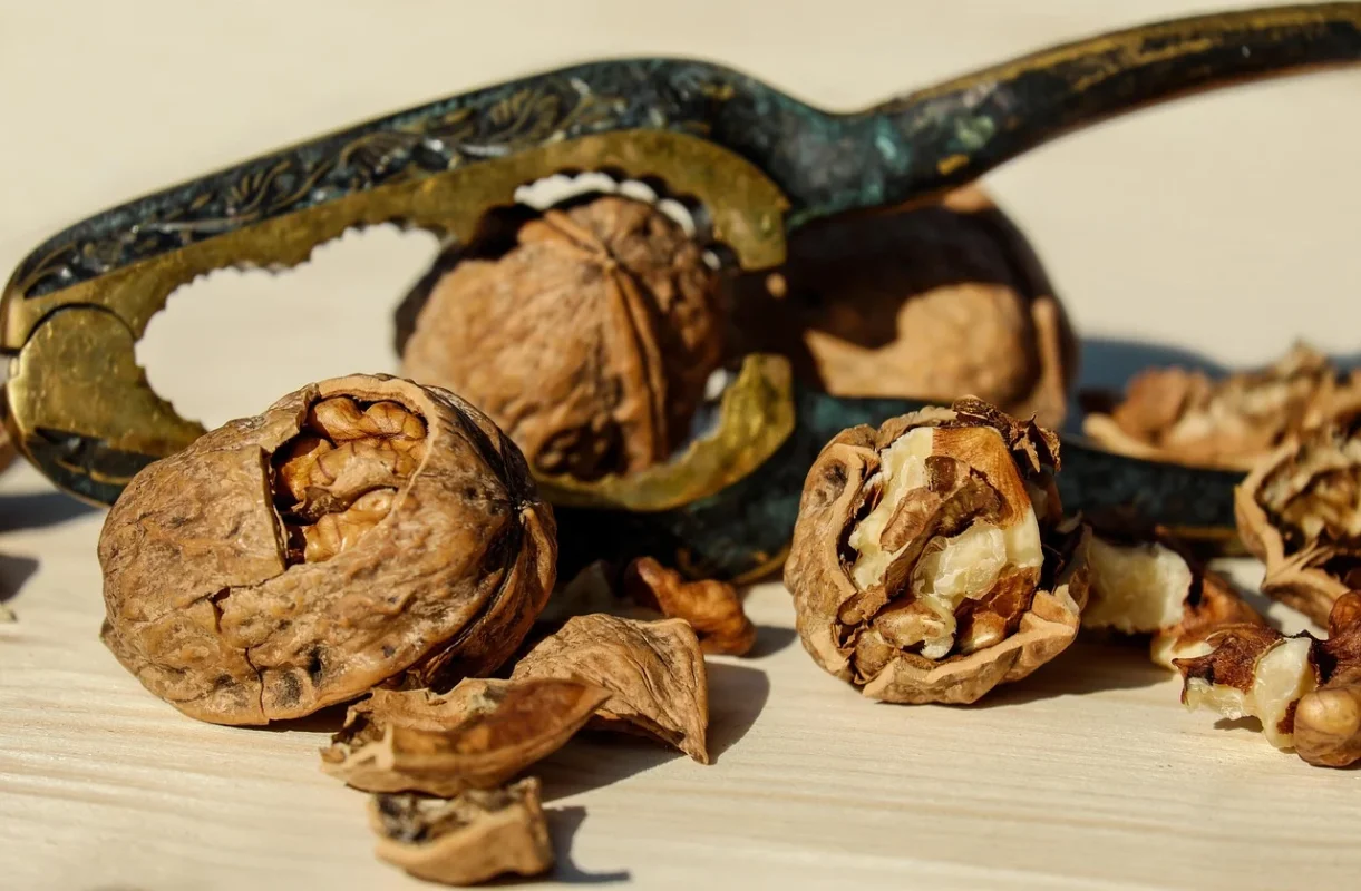 Cara Menghilangkan Goresan di Parket & Solusi Profesional 2026 2 Wood Repair Kit Walnut Shell