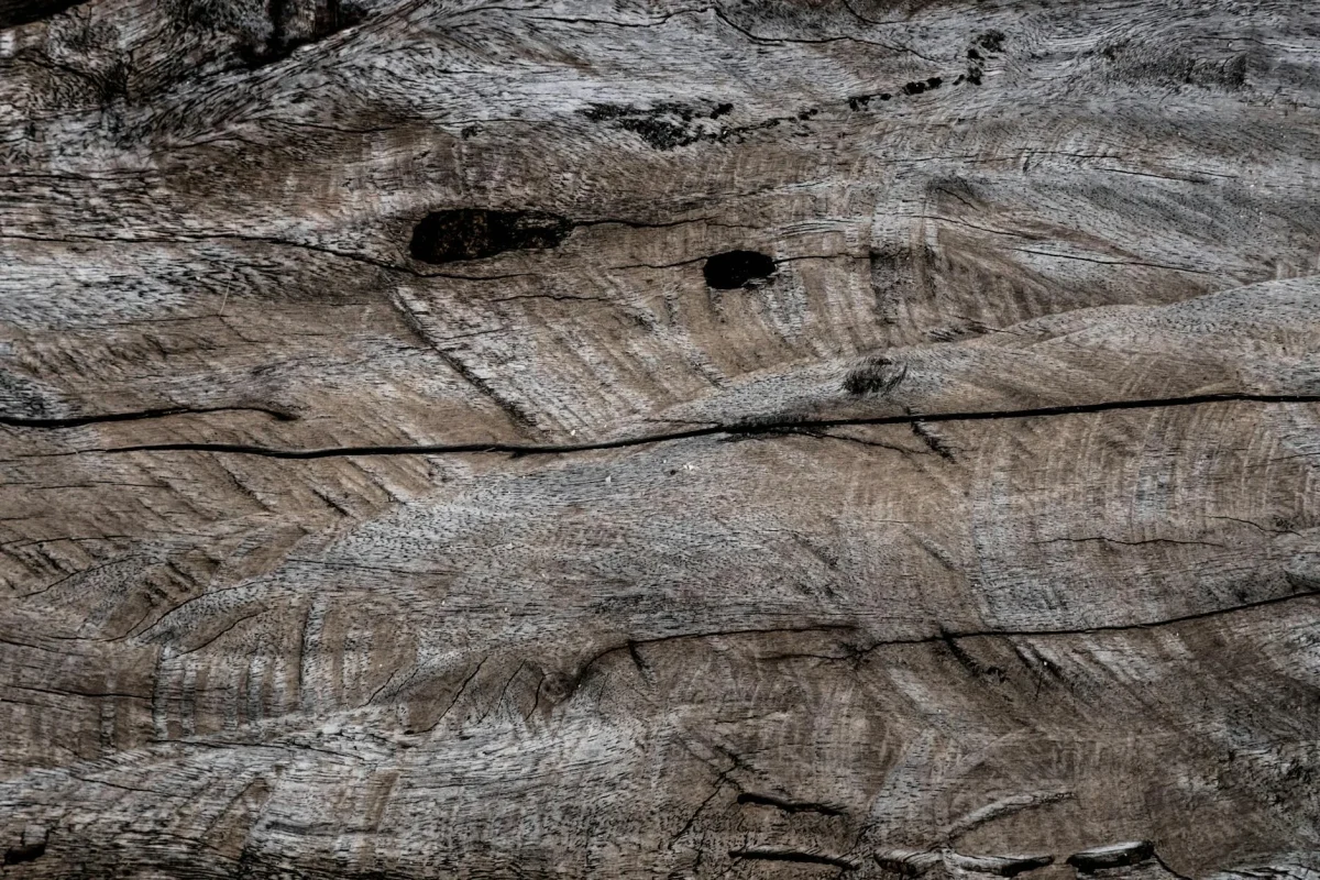 Cara Cek Keaslian Parket Kayu Jati 2026 | lantaiparket.id 2 Wood Surface Close Up Wood