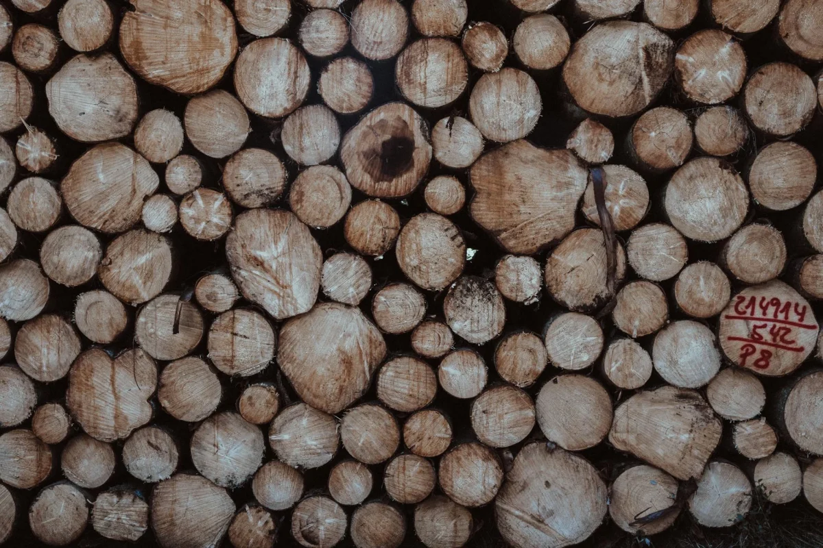 Wood Texture Lumber Yard