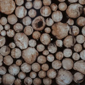 Wood Texture Lumber Yard