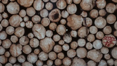 Wood Texture Lumber Yard