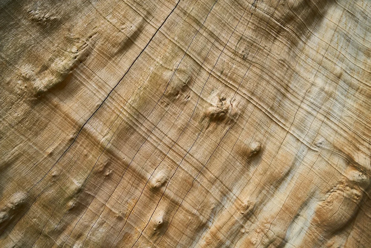 Apakah Lantai Parket Kayu Bisa Memuai? Ini Jawabannya 1 Wood Texture Parquet Floor