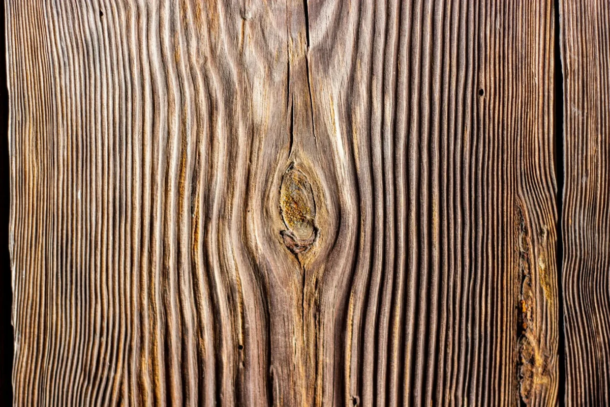 Wood Texture Timber