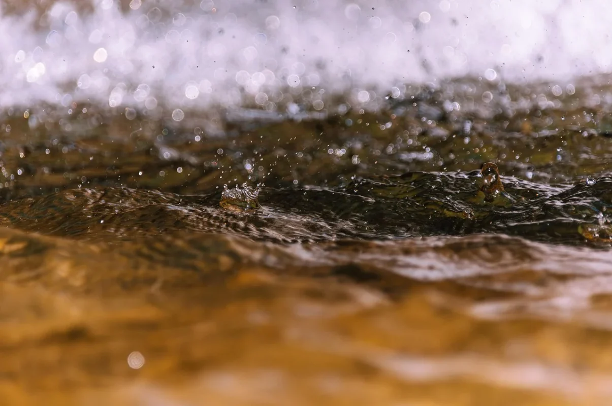 Apakah Lantai Parket Tahan Air? Panduan Lengkap 2026 1 Wood Texture Water Drops