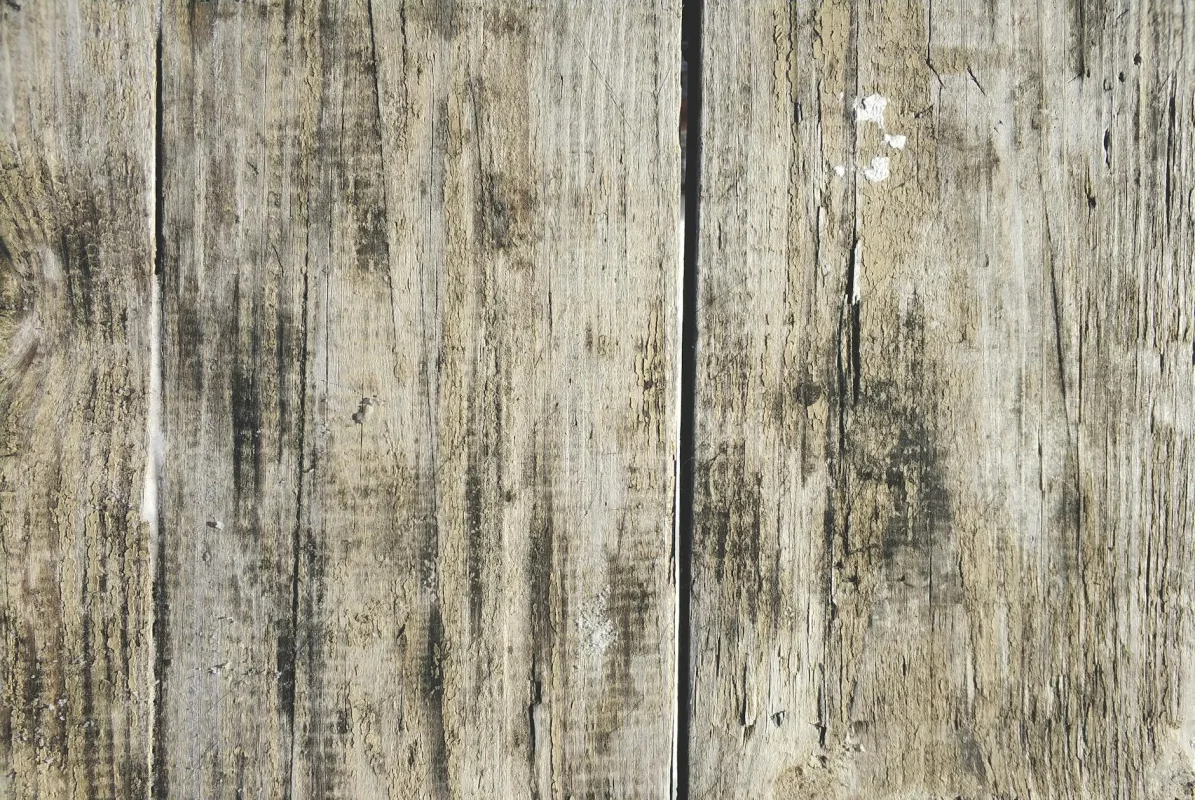 Cara Membedakan Lantai Parket Kayu Asli dan Palsu 2026 3 Wood Texture Wood Grain