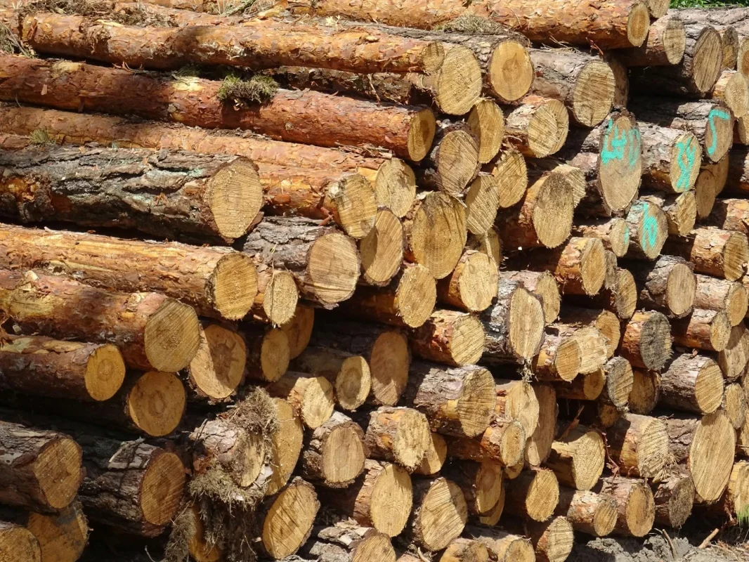 Wood Timber Ironwood