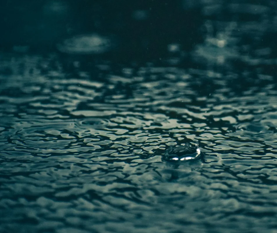 Perbandingan Daya Tahan Parket Kayu vs Keramik 2026 3 Water Drop Wet Floor