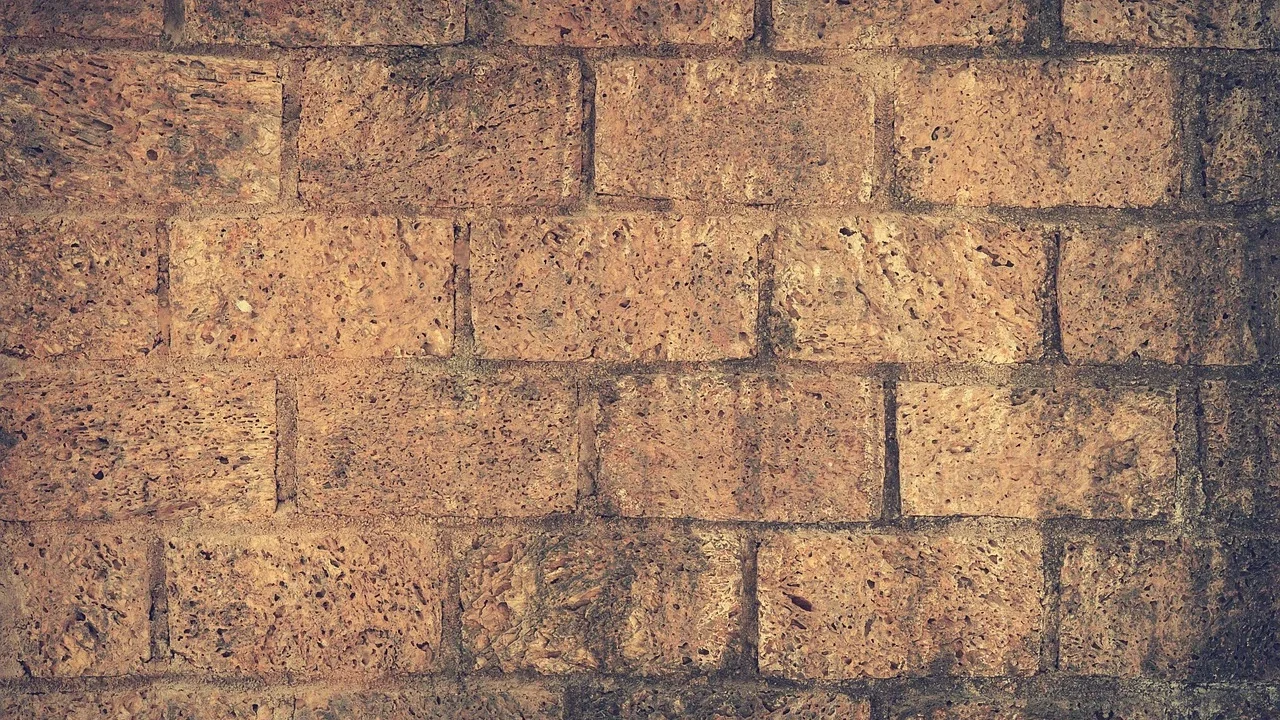 Perbandingan Interlock vs Vinyl Basket: Mana yang Terbaik? 3 Durable Floor Maintenance Service