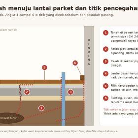 Parket Anti Rayap: Fakta Kelas Awet Kayu dan Cara Mencegahnya 3 Diagram jalur rayap tanah naik ke lantai parket lewat retak plat lantai, celah pipa, dan sambungan dinding, beserta 6 titik pencegahan saat pasang