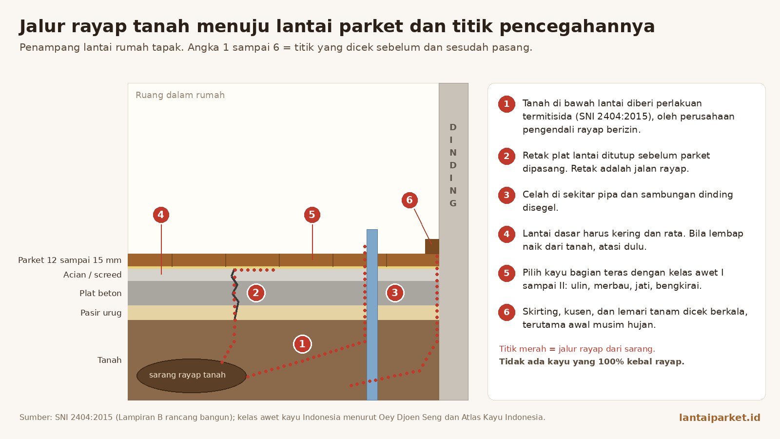 Parket Anti Rayap: Fakta Kelas Awet Kayu dan Cara Mencegahnya 1 Diagram jalur rayap tanah naik ke lantai parket lewat retak plat lantai, celah pipa, dan sambungan dinding, beserta 6 titik pencegahan saat pasang